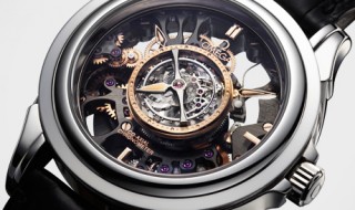 omega skeletonal tourbillon watch